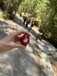 Dateiname=08a.jpg
Dateigröße=193KB
Abmessungen: 1200x1600
hinzugefügt am: 28. April 2025 08a.jpg