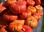 Dateiname=36_Kürbiszeit.jpg
Dateigröße=234KB
Abmessungen: 473x355
hinzugefügt am: 23. Oktober 2008 36_Kürbiszeit.jpg