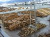 Dateiname=Holz Holz Holz.jpg
Dateigröße=262KB
Abmessungen: 473x355
hinzugefügt am: 13. März 2006 Holz Holz Holz.jpg