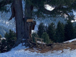 Dateiname=IMG_2355.jpg
Dateigröße=127KB
Abmessungen: 799x600
hinzugefügt am: 24. Februar 2022 IMG_2355.jpg